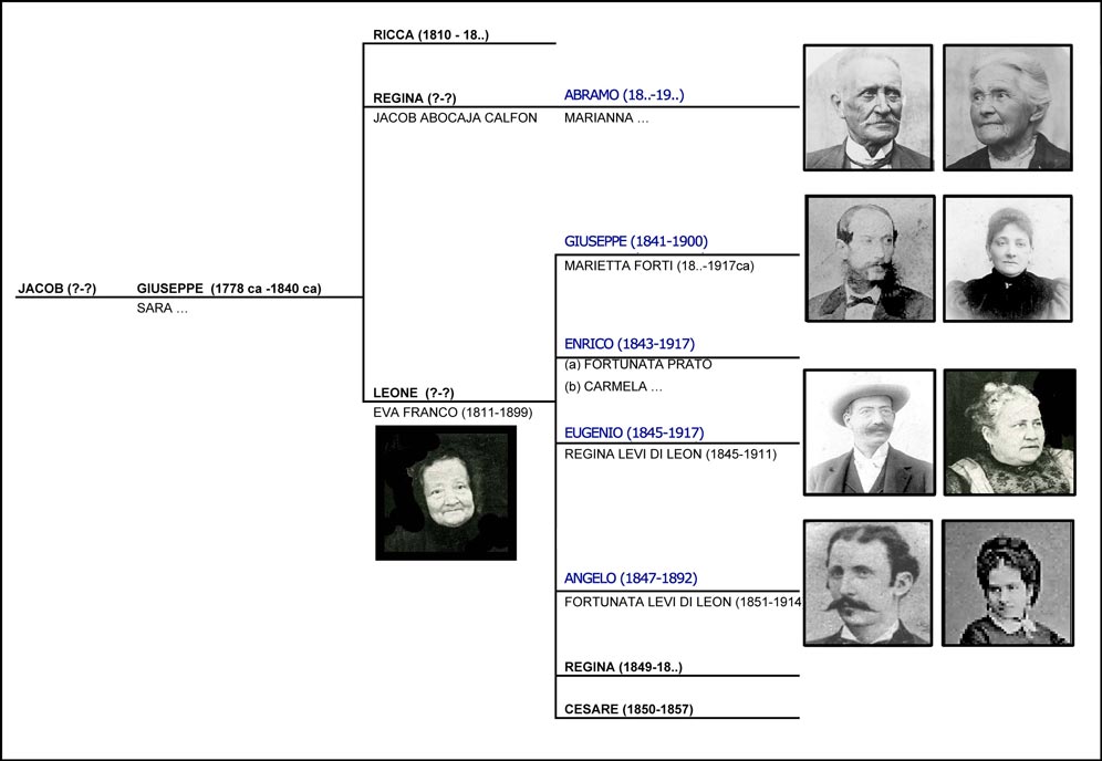 albero genealogico